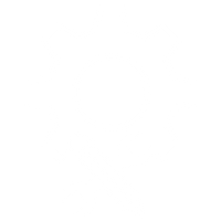 Expertise Icon
